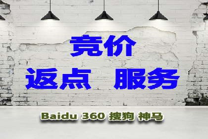 行业领先SEM服务公司案例研究